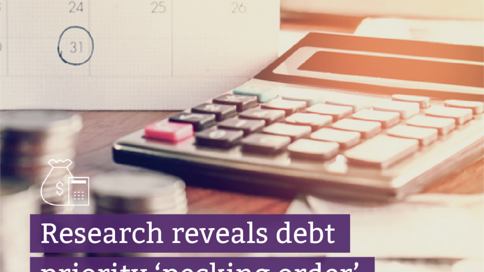 researchers reveals debt priority pecking order